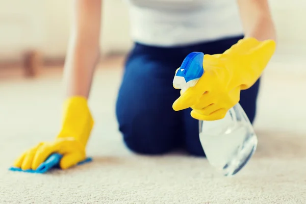 TAO Carpet Cleaning